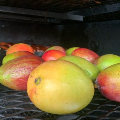 Smoked Mangoes (March - September)