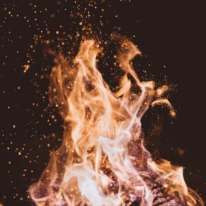 joshua-newton-7qjqQjt7zXQ-unsplash